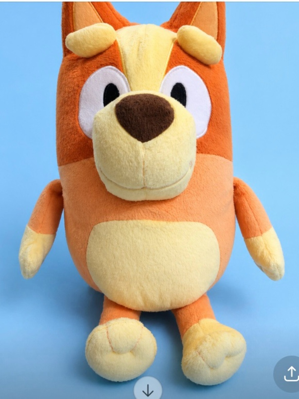 Talking Bingo from Bluey and Friends